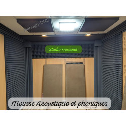 Mousse Acoustique Phonique...